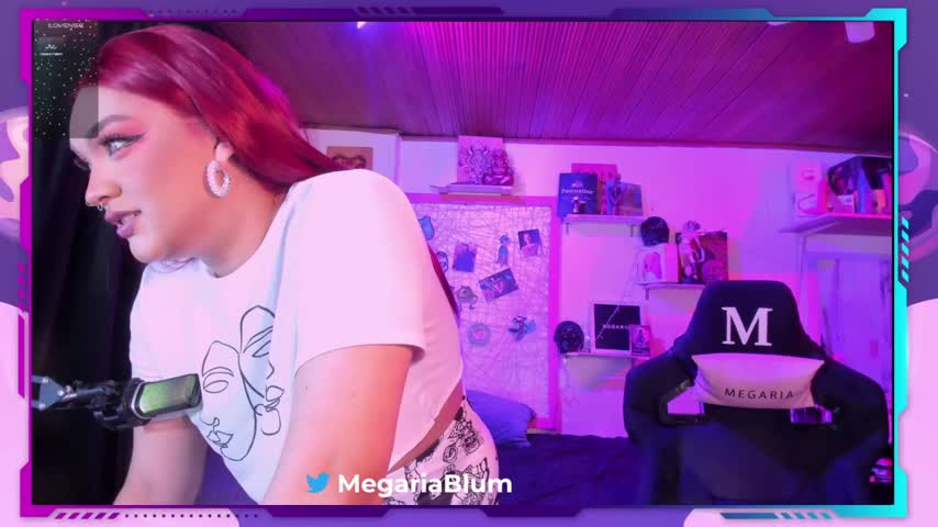 megariab's Live Cam